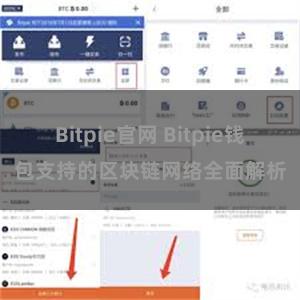 Bitpie官网 Bitpie钱包支持的区块链网络全面解析