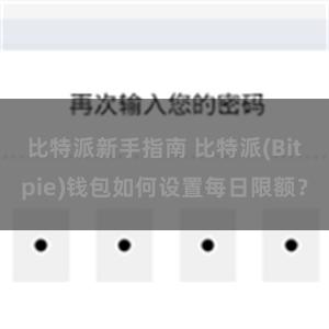 比特派新手指南 比特派(Bitpie)钱包如何设置每日限额？