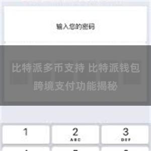 比特派多币支持 比特派钱包跨境支付功能揭秘