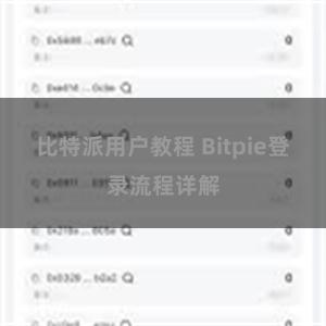 比特派用户教程 Bitpie登录流程详解