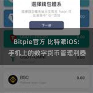 Bitpie官方 比特派iOS: 手机上的数字货币管理利器