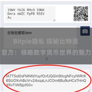 Bitpie隐私 探秘比特派官方：领略数字货币世界的魅力