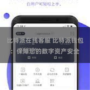 比特派在线客服 比特派钱包：保障您的数字资产安全