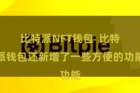 比特派NFT钱包  比特派钱包还新增了一些方便的功能