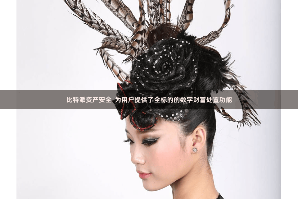 比特派资产安全  为用户提供了全标的的数字财富处置功能