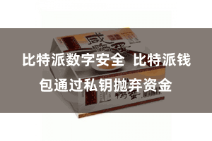 比特派数字安全  比特派钱包通过私钥抛弃资金